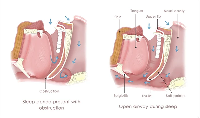 Tinton Falls NJ Dentist