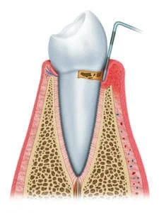 Andrew Gobran DDS