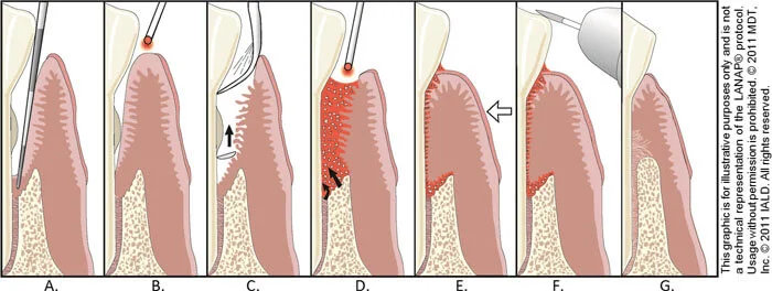 Dentist in 07724